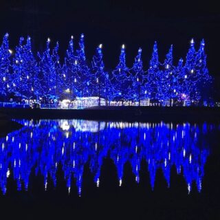 【休日の一コマ】
先日、社員が茨城県河内町へお出かけしてきました*ﾟ✲ฺ٩(ˊᗜˋ*)و ✲ฺﾟ

河内町は、米作を中心とした、のどかな農村地帯になります。
茨城県の南部（茨城県と千葉県を隔てている利根川沿い）に位置しています。
成田国際空港へは20km、都心までは50km圏内に位置しています。（アクセスがほどよいですね）
夏には緑色の、秋には黄金色に染まった稲穂の絨毯が視界いっぱいに広がります。
とても自然豊かな場所です。

そんな自然豊かな河内町には、「水と緑のふれあい公園」があり、毎年「かわちイルミネーション」が開催されています。
茨城県最大級の規模を誇るイルミネーションで、電球数は50万球( ;`ω´) ﾅ､ﾅﾝﾄ!

テーマは河内町の四季です。
春・夏・秋・冬のエリアに分かれており、
・桜と新緑の土手
・河内町の町花である紫陽花や傘
・米どころ河内町の実りの秋を表現。かわち丸くん（河内町のイメージキャラクター）もお出迎え。
・高さ20mの針葉樹を彩る青と白の幻想的な空間
を表現しています。
他にも、光のトンネルやプロジェクションマッピング、フォトスポットなど盛りだくさん。

みなさまも茨城県でLet's enjoy！Merry Christmas🎅

期間：2024年11月～2025年2月16日
時間：17:00～21:00
場所：茨城県稲敷郡河内町長竿5412 かわち水と緑のふれあい公園

#河内町 
#水と緑のふれあい公園 
#イルミネーション
#かわちイルミネーション 
#栃木県 
#福島県いわき市 
#ひたちなか市 
#つくば市 
#運送 
#重量物 
#精密機器輸送 
#精密機械輸送 
#研究機器 
#精密機器 
#金庫 
#複合機 
#蓄電池 
#トラック 
#クレーン車 
#阿部ピアノ運送